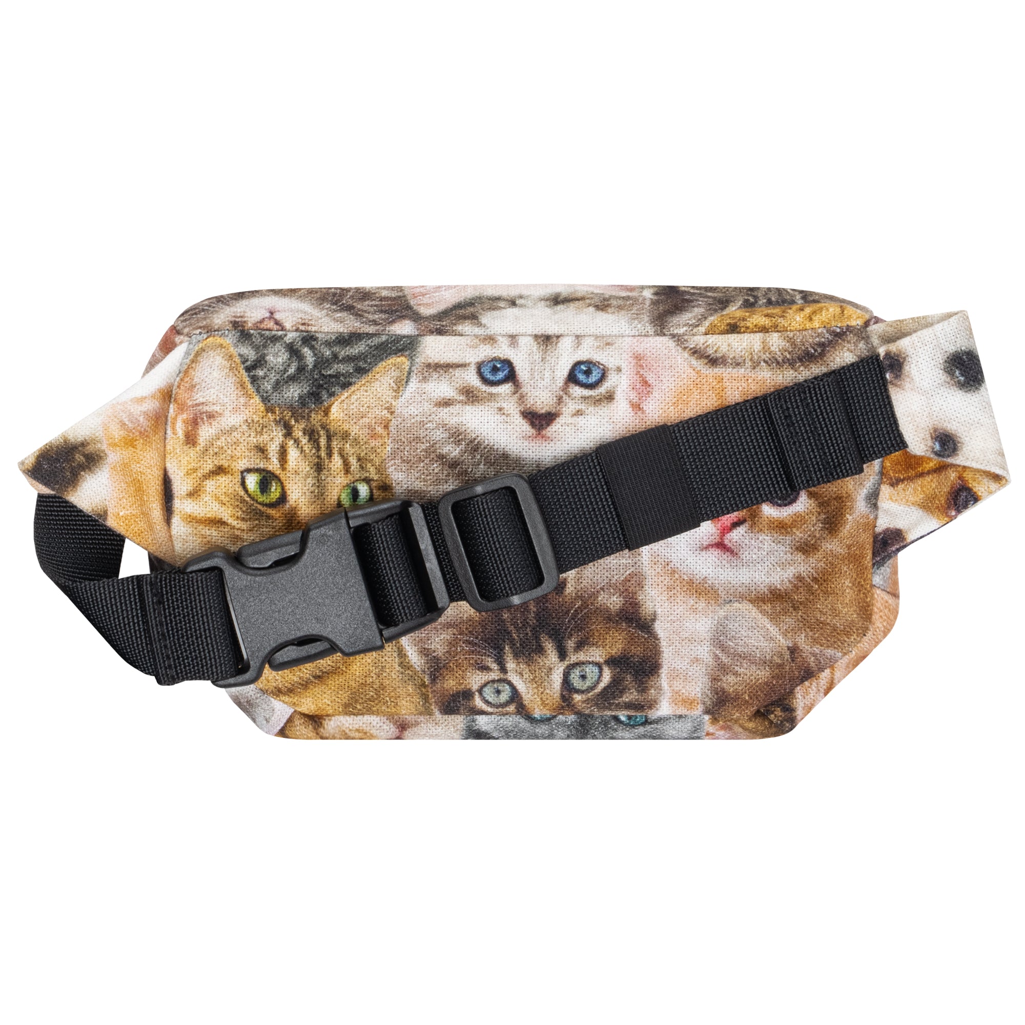 Bauchtasche Eckig klein Canvas, Katze (1) #motiv_katzen